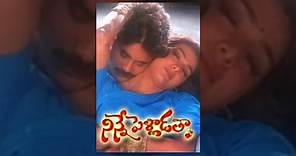 Ninne Pelladatha Telugu Full Movie || Nagarjuna,Tabu