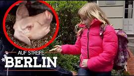 Miese Erpressung: Warum weint die kleine Emma? | Auf Streife - Berlin | SAT.1 TV