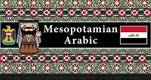 The Sound of the Mesopotamian Arabic dialect (Numbers, Words, Phrases & Story)