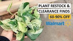 Walmart Plant Restock & Gardening Clearance Finds (60-90% Off) | Plant Shopping With Me October 2021