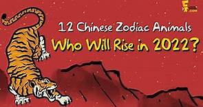 Chinese Zodiac Horoscope 2022 | 12 Chinese Zodiac Animals Forecast in the Year of the Tiger