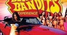 Bikini Bandits: Go to Hell (2002) Online - Película Completa en Español - FULLTV