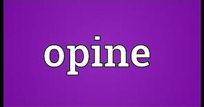 Opine Meaning
