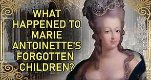The Terrible Fate Of Marie Antoinette's Children | The Lost Dauphin of France And His Siblings