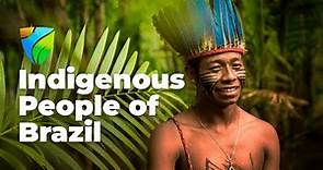 Indigenous People of Brazil - Native origins