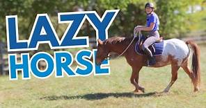 HOW TO RIDE A LAZY HORSE