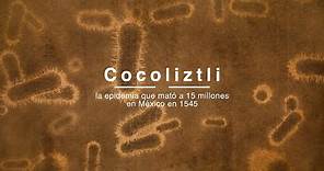 Cocoliztli, la epidemia que mató a 15 millones en México en 1545