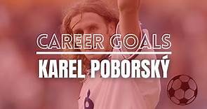 A few career goals from Karel Poborsky
