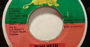 Pauline - Bush Weed