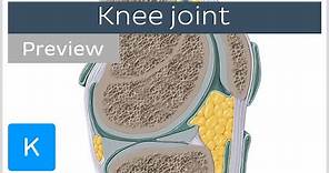 Knee joint: bones, ligaments, articulation, movements (preview) - Human Anatomy | Kenhub