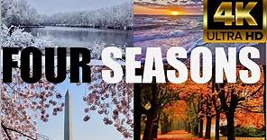 Four seasons in North America | Snowfall, fall autumn, spring, summer