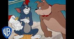 Tom y Jerry en Latino | Compilación clásica de dibujos animados | Tom, Jerry y Spike | WB Kids