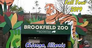Brookfield Zoo Full Tour - Chicago, Illinois