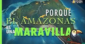 Porque es Importante El Amazonas