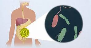 Antagonism toward the intestinal microbiota and its effect on Vibrio cholerae virulence
