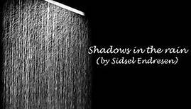 Sidsel Endresen - Shadows in the rain