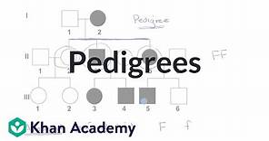 Pedigrees | Classical genetics | High school biology | Khan Academy