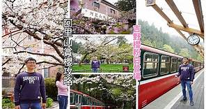 [阿里山櫻花季一日遊攻略] 搭公車到阿里山朝聖櫻王，順便搭森林小火車沿途欣賞粉白色的吉野櫻