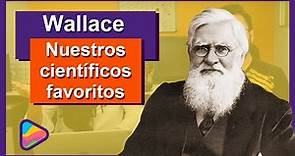 Alfred Wallace | Nuestros científicos favoritos | Aprende con Tabella