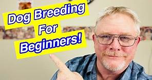 How To Breed Dogs - 5 Tips For Beginners!