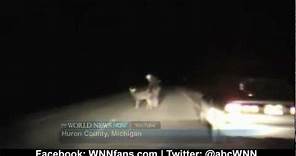 Deer Caught In the Headlights, Literally!