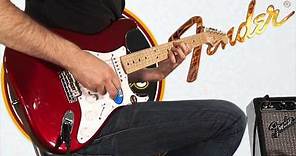 Fender Jimmie Vaughan Tex Mex Strat / Stratocaster