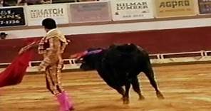 Toro! Training at Bullfighting School