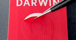 Dibujo DARWIN NÚÑEZ 9 🔴 ¿siguiente? / next? | Alexchipi11