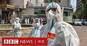 上海封城近半月感染人數仍攀升 嚴厲隔離措施引發民眾抗議 － BBC News 中文