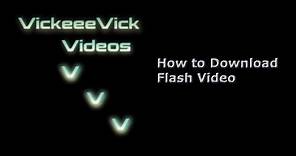 How to Download Flash Video - 2013 Tutorial