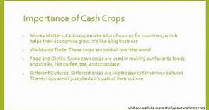 The Top 10 Most Profitable Cash Crops for Farmers