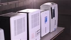 Dehumidifier Buying Guide (Interactive Video) | Consumer Reports