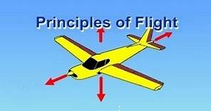 Flight Training Manual Lesson #1: Principles of Flight
