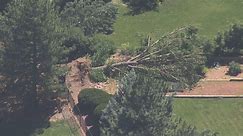 Tornado downs trees in Highlands Ranch, tree limb drop-off sites open