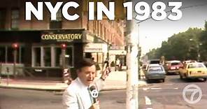 NYC in 1983: Reporter's hilarious tour of Manhattan's streets