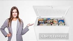 Top 10 Best Chest Freezer for Garage | 100 to 450 Liters