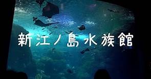 【神奈川県 4K】新江ノ島水族館の散歩(立体音響ASMR)
