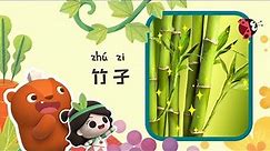早教启蒙 | 竹子是草, 还是树? | 植物科普 | Learn from Nature | Kids Cartoons [ENG CC]