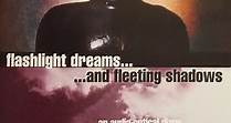 Bill Nelson - Flashlight Dreams... ...And Fleeting Shadows