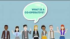 What is a coop