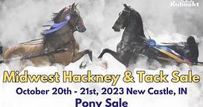 Pony Sale - Midwest Hackney & Tack Sale 2023