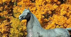 University of Vermont Morgan Horse Farm- Living History