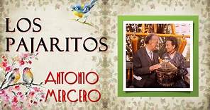 Los pajaritos (de Antonio Mercero) - Corto de Cine, TVE