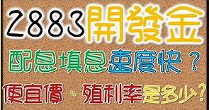 【2883開發金】殖利率好嗎？便宜價、合理價分別是多少？配息填息速度快嗎？｜我們這一家