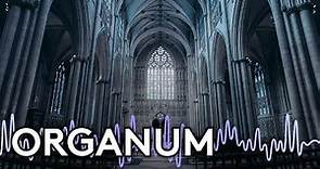 Discover Organum Music