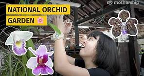 How to maintain an orchid garden? | Today I Learnt