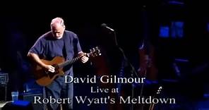 David Gilmour in Concert Meltdown 2001/2002