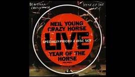 Neil Young - Year Of The Horse - Live
