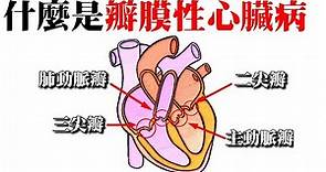 心臟衰竭，什麼是心臟瓣膜疾病｜許原彰醫師：高雄宇成診所