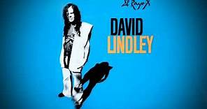 David Lindley - Mercury Blues